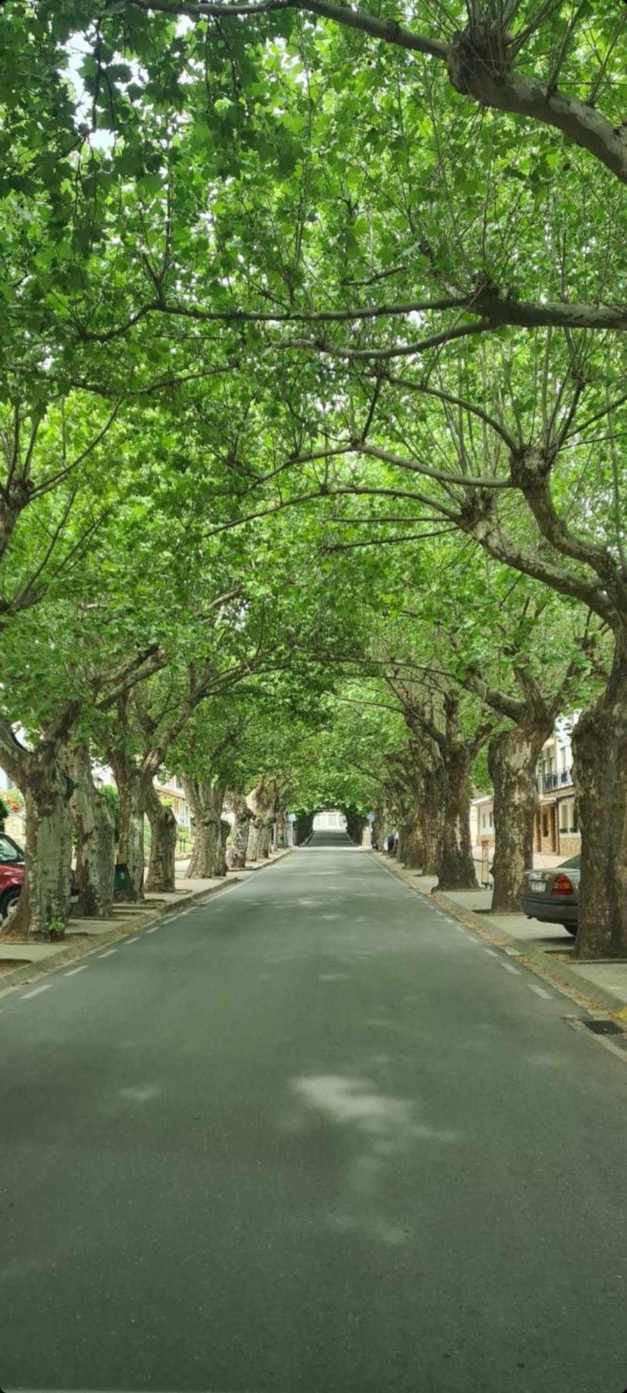 Riópar Apartamento Cobre מראה חיצוני תמונה